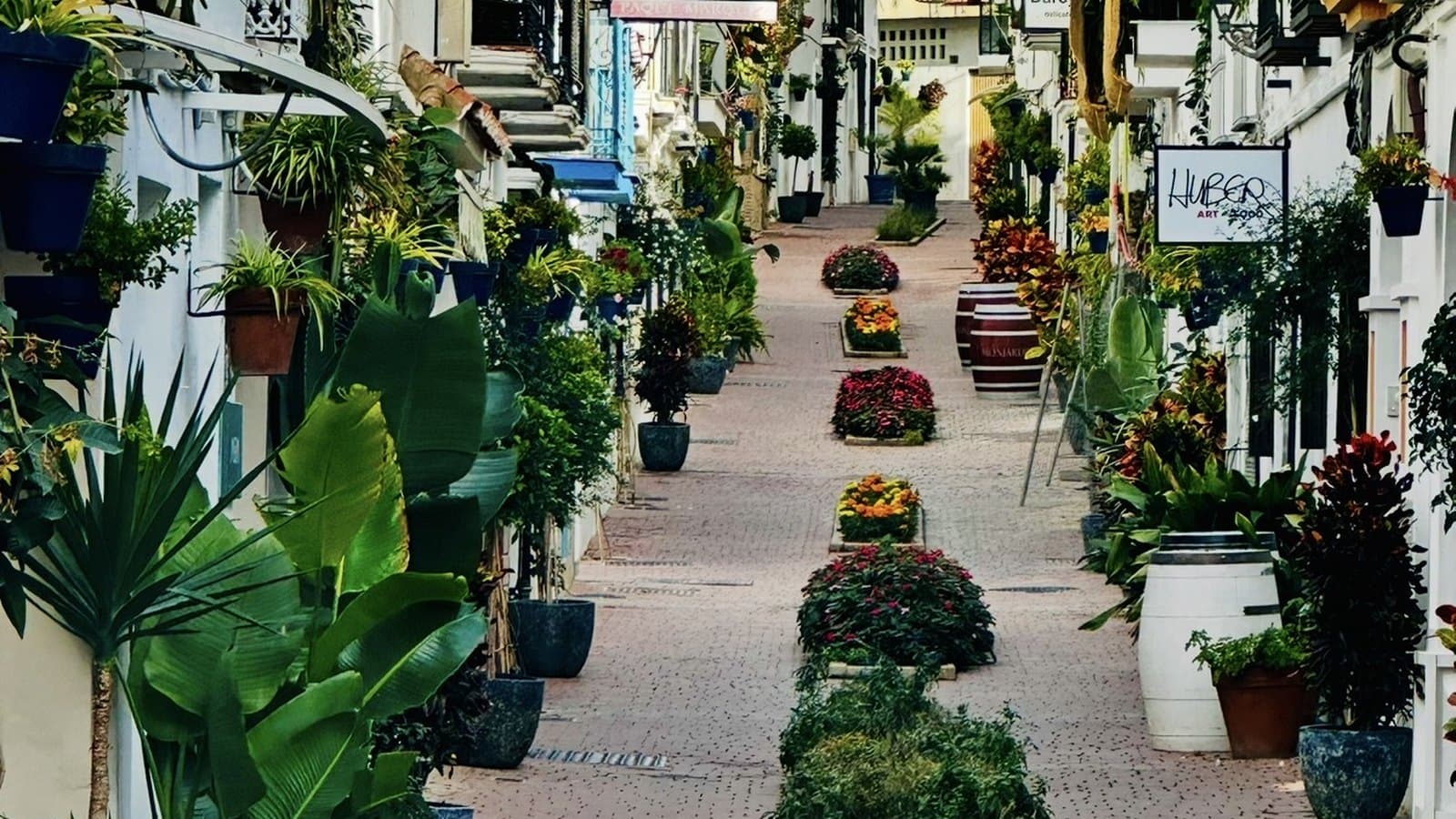 Calle con flores en el casco antiguo de Estepona