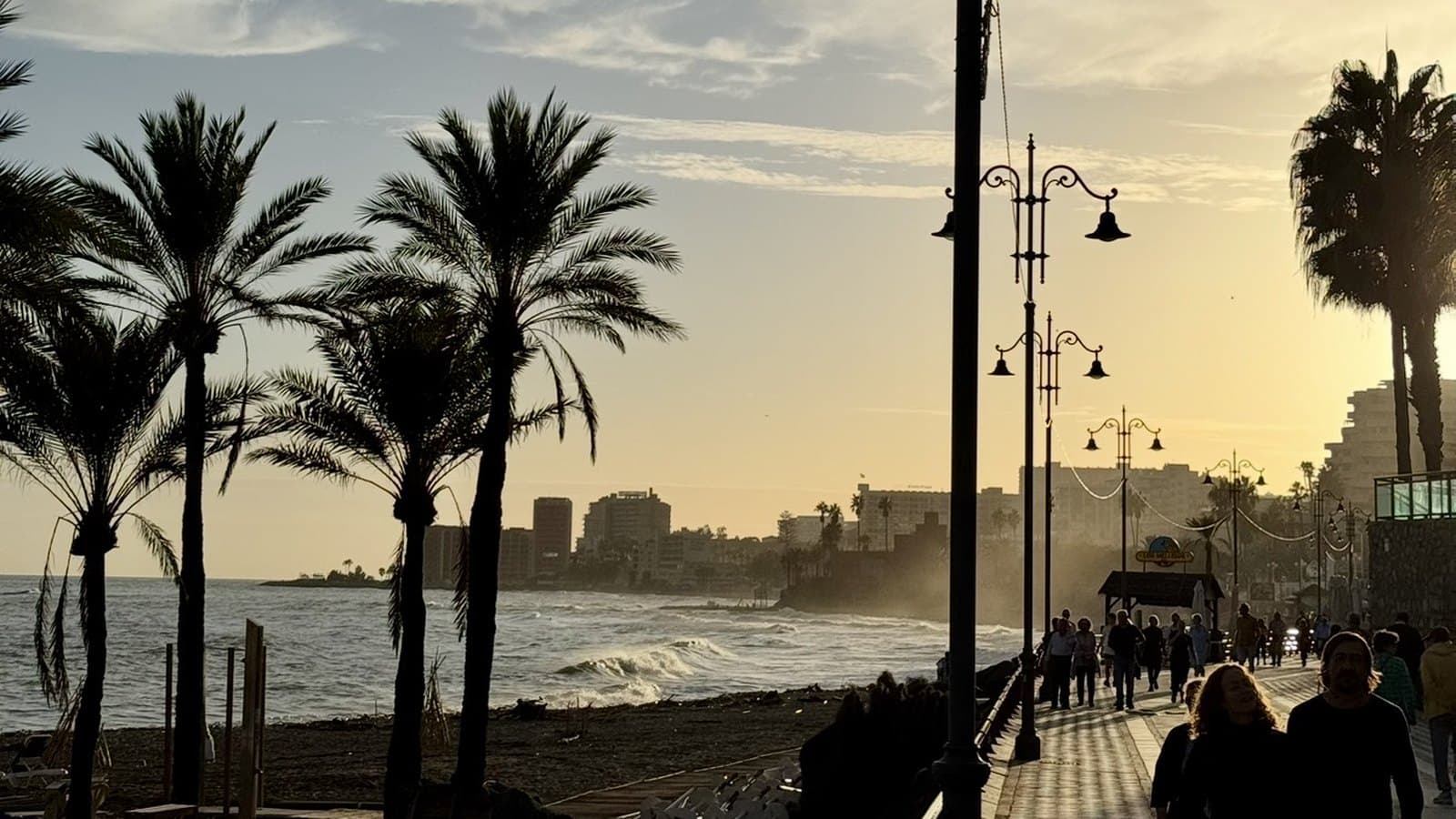 Palmeras y paseo de Benalmádena al atardecer